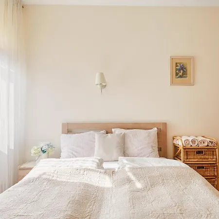Old Town Apartment Kaunas Exterior photo